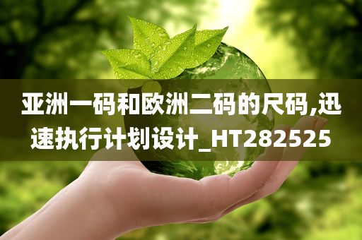 亚洲一码和欧洲二码的尺码,迅速执行计划设计_HT282525