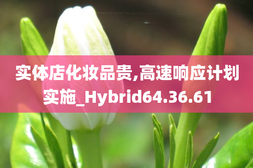 实体店化妆品贵,高速响应计划实施_Hybrid64.36.61