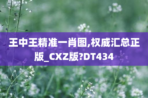 王中王精准一肖图,权威汇总正版_CXZ版?DT434