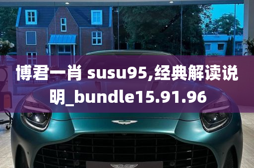 博君一肖 susu95,经典解读说明_bundle15.91.96