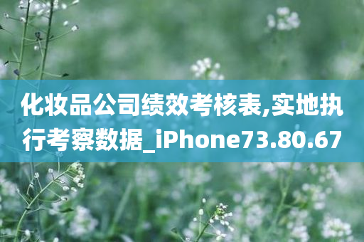 化妆品公司绩效考核表,实地执行考察数据_iPhone73.80.67