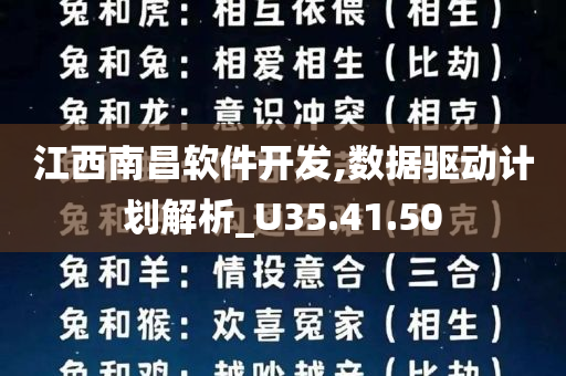 江西南昌软件开发,数据驱动计划解析_U35.41.50