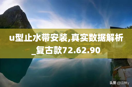 u型止水带安装,真实数据解析_复古款72.62.90