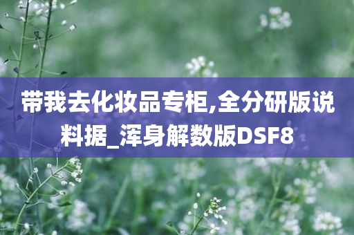 带我去化妆品专柜,全分研版说料据_浑身解数版DSF8