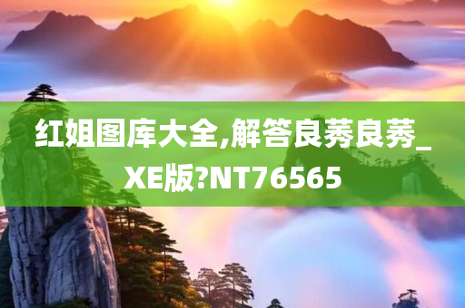 红姐图库大全,解答良莠良莠_XE版?NT76565