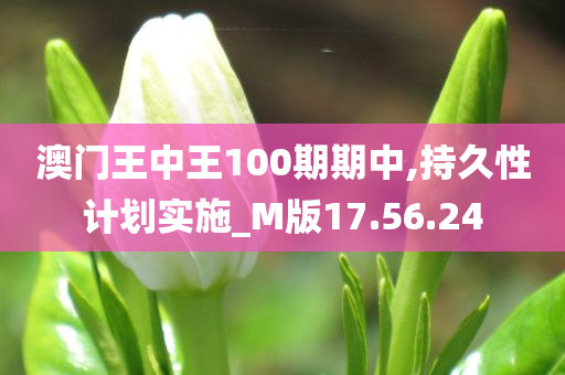 澳门王中王100期期中,持久性计划实施_M版17.56.24