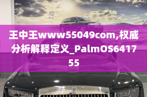 王中王www55049com,权威分析解释定义_PalmOS641755