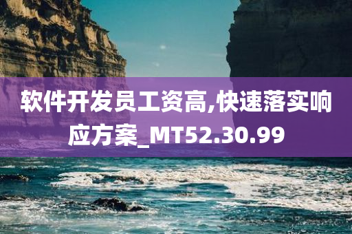 软件开发员工资高,快速落实响应方案_MT52.30.99