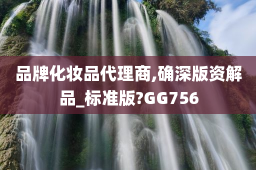 品牌化妆品代理商,确深版资解品_标准版?GG756