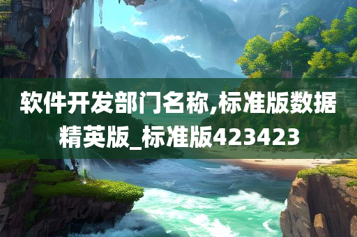 软件开发部门名称,标准版数据精英版_标准版423423