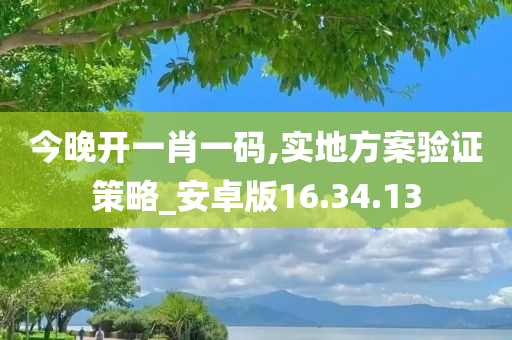 今晚开一肖一码,实地方案验证策略_安卓版16.34.13