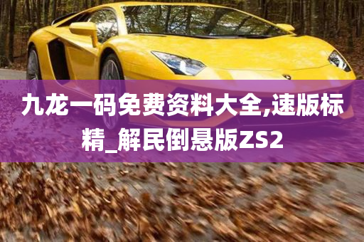 九龙一码免费资料大全,速版标精_解民倒悬版ZS2