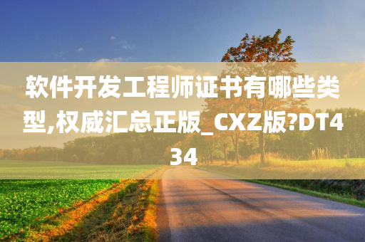 软件开发工程师证书有哪些类型,权威汇总正版_CXZ版?DT434