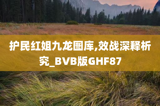 护民红姐九龙图库,效战深释析究_BVB版GHF87