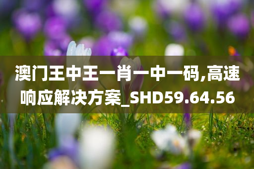 澳门王中王一肖一中一码,高速响应解决方案_SHD59.64.56