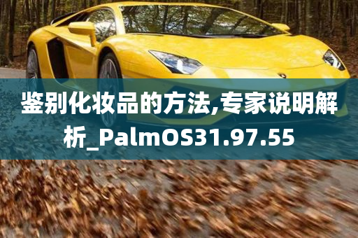 鉴别化妆品的方法,专家说明解析_PalmOS31.97.55