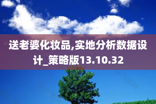 送老婆化妆品,实地分析数据设计_策略版13.10.32