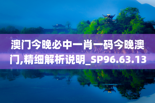 澳门今晚必中一肖一码今晚澳门,精细解析说明_SP96.63.13