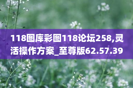 118图库彩图118论坛258,灵活操作方案_至尊版62.57.39