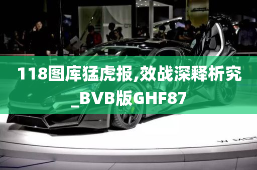 118图库猛虎报,效战深释析究_BVB版GHF87