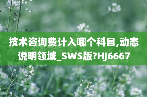 技术咨询费计入哪个科目,动态说明领域_SWS版?HJ6667