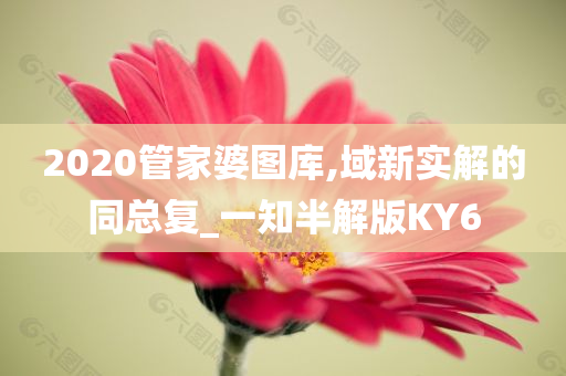 2020管家婆图库,域新实解的同总复_一知半解版KY6