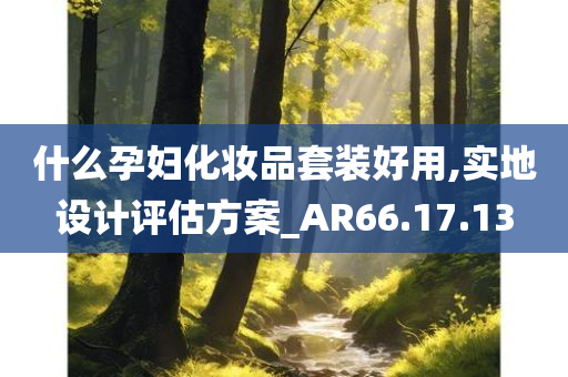 什么孕妇化妆品套装好用,实地设计评估方案_AR66.17.13