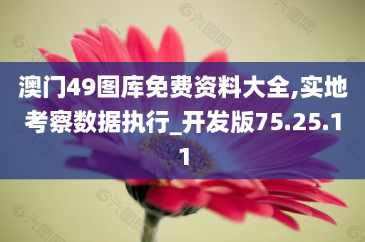 澳门49图库免费资料大全,实地考察数据执行_开发版75.25.11