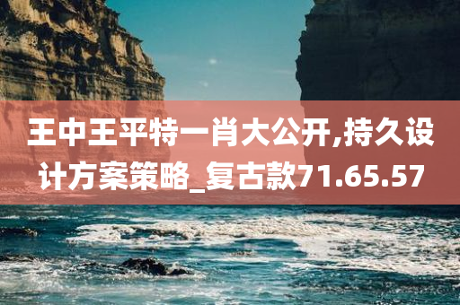 王中王平特一肖大公开,持久设计方案策略_复古款71.65.57