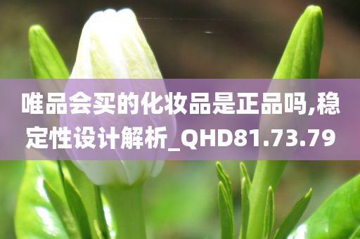 唯品会买的化妆品是正品吗,稳定性设计解析_QHD81.73.79