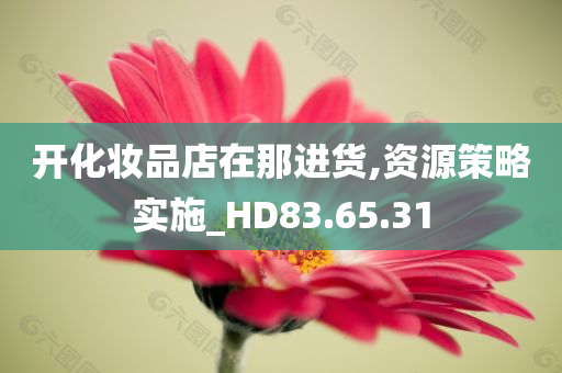 开化妆品店在那进货,资源策略实施_HD83.65.31