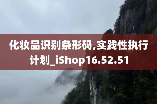 化妆品识别条形码,实践性执行计划_iShop16.52.51