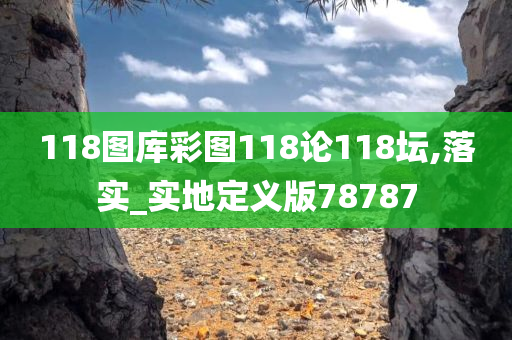 118图库彩图118论118坛,落实_实地定义版78787