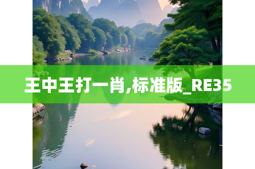 王中王打一肖,标准版_RE35