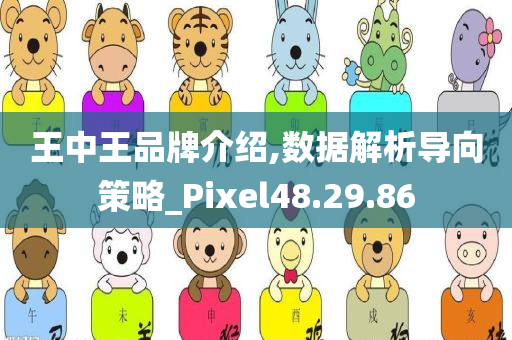 王中王品牌介绍,数据解析导向策略_Pixel48.29.86