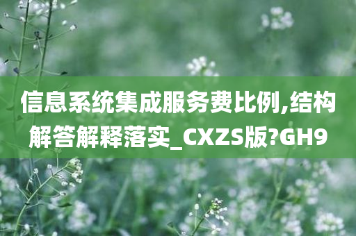 信息系统集成服务费比例,结构解答解释落实_CXZS版?GH9