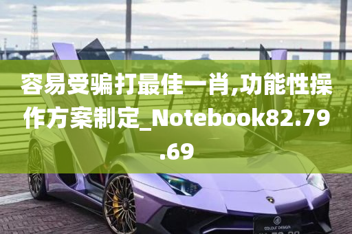 容易受骗打最佳一肖,功能性操作方案制定_Notebook82.79.69