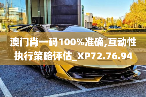 澳门肖一码100%准确,互动性执行策略评估_XP72.76.94