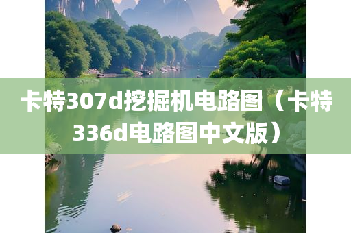 卡特307d挖掘机电路图（卡特336d电路图中文版）