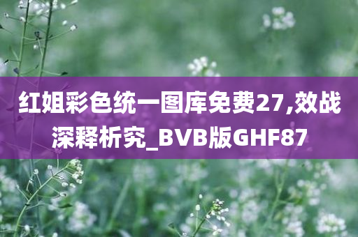 红姐彩色统一图库免费27,效战深释析究_BVB版GHF87