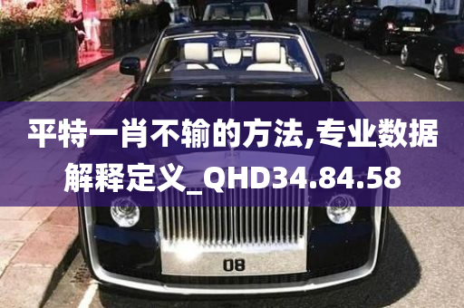 平特一肖不输的方法,专业数据解释定义_QHD34.84.58