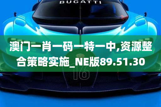 澳门一肖一码一特一中,资源整合策略实施_NE版89.51.30