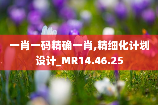 一肖一码精确一肖,精细化计划设计_MR14.46.25