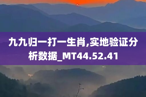 九九归一打一生肖,实地验证分析数据_MT44.52.41