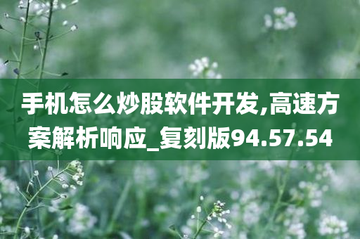 手机怎么炒股软件开发,高速方案解析响应_复刻版94.57.54