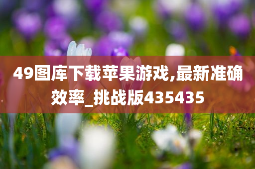 49图库下载苹果游戏,最新准确效率_挑战版435435