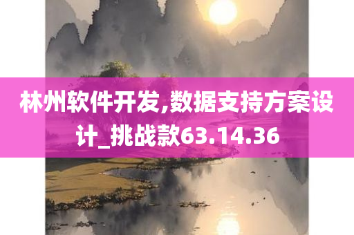 林州软件开发,数据支持方案设计_挑战款63.14.36