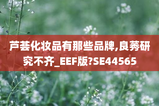 芦荟化妆品有那些品牌,良莠研究不齐_EEF版?SE44565