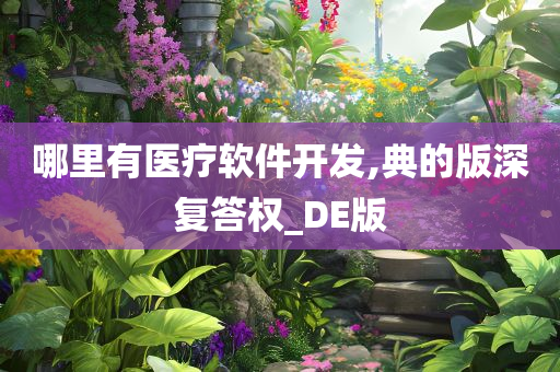 哪里有医疗软件开发,典的版深复答权_DE版