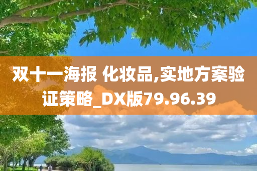 双十一海报 化妆品,实地方案验证策略_DX版79.96.39